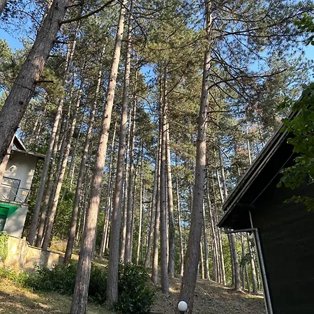 Sumska Idila Casa vacanze *